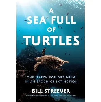Cizojazyčná kniha Sea Full of Turtles - Streever, Bill