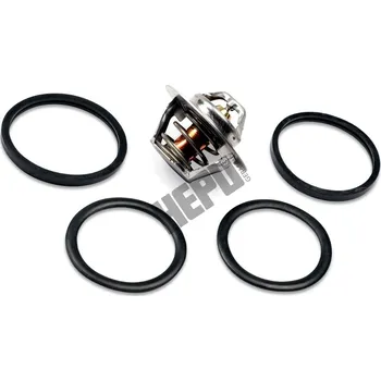 Chladič motoru Termostat, chladivo, , 133730, 133837, 133883, 3343567, 6001070274, 7701348372, 7910011101, 7910014390, 7910016560, 9617178080, HEPU, TM1291