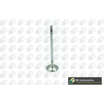 Ventil motoru Sací ventil, , BGA, V200074