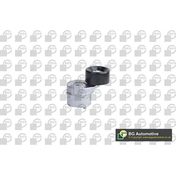 Napínací rameno, žebrovaný klínový řemen, , 1119954, 1333203, YC1E6A228AF, YC1E6A228AG, BGA, DC2318