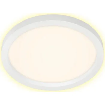 Briloner 7361-016 - LED Stropní svítidlo CADRE LED/18W/230V pr. 29,7 cm bílá