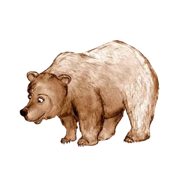 Nášivka NAŽEHLOVAČKA - Medvídek