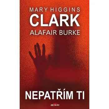 Kniha Nepatřím ti