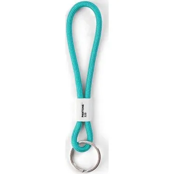 Pantone Poutko na klíče S - Turkis 320