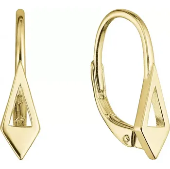 Oblečení a móda Pozlacené stříbrné náušnice 61024