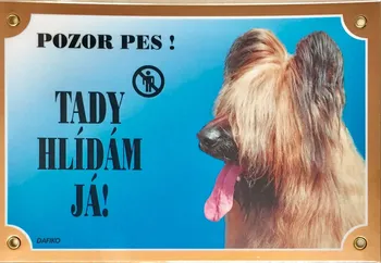 Plechová cedule Dafiko Pozor pes Briard světlý