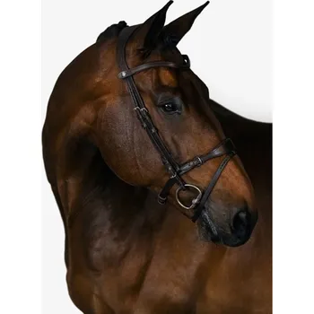 Uzdečka PS OF SWEDEN Mary Lou by Henrik - hnědá, COB (AP 25 DOPRODEJ)