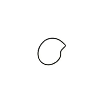 Těsnění pro motocykl Centauro Těsnění vodní pumpy Piaggio 125-300 880B34001