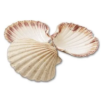 Bosfood Ulity z mušlí svatého Jakuba 10 kusů