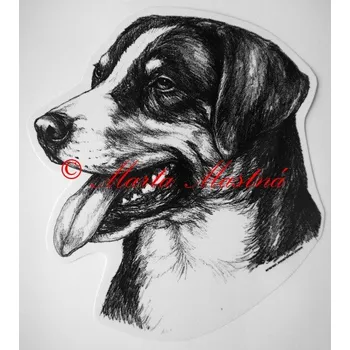 Samolepka appenzelský salašnický pes - archiv c340 - Malá - přibližně jako pohlednice