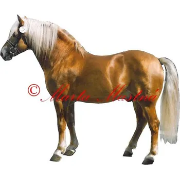 Samolepka hafling Simel, kůň, koně 308