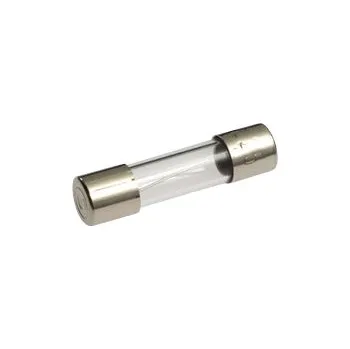 Autopojistky ESKA 521.019 Skleněná trubičková pojistka 5x20 mm M 1,6 A/250V, s hasivem
