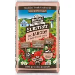 Forestina Hoštický substrát pro jahody…