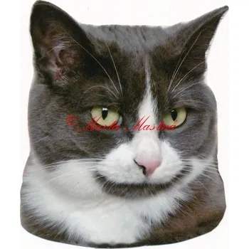 Samolepka kočka britská modrý bicolor - archiv