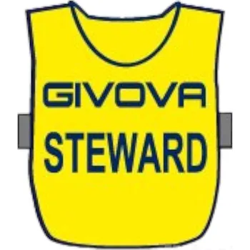 Pánská vesta Vesta pro pořadatele GIVOVA