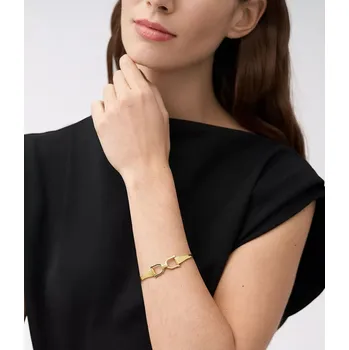 Hodinky Dámské náramek Fossil D-Link Heritage JF04524710