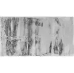 Kusový koberec Rabbit New - Grey 08 80x150 cm