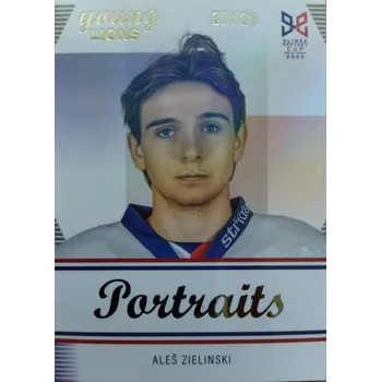 Sběratelská karetní hra Aleš Zielinski