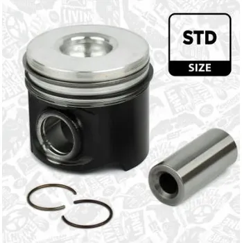 Motor automobilu Píst ET ENGINETEAM PM000800