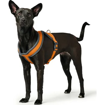 Vodítko pro psa Postroj pro psa Hunter London Comfort XS-S 39-47 cm Oranžová