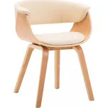 Jídelní židle ohýbané dřevo Dekorhome