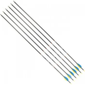 Sportovní střelba YATE KARBONOVÉ LUKOSTŘELECKÉ ŠÍPY 32/1200 6 KS VÍCEBAREVNÁ