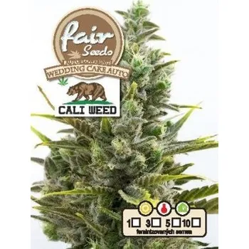 Semeno Fair seeds Auto Wedding Cake Počet ks Feminizované: 1