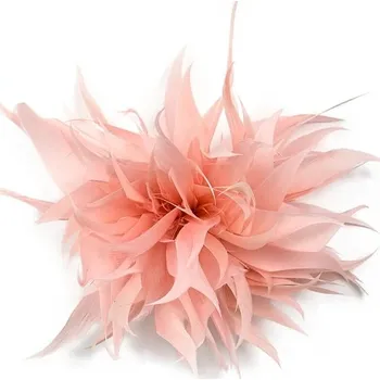 Brož Spínací špendlík s luxusním pírkem | Brož, Ozdoba - Šampaňské