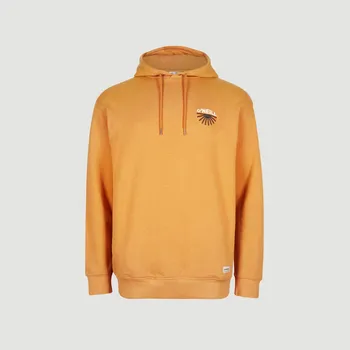 Pánská mikina Pánská Mikina O'NEILL CAMORRO HOODIE 2750045-17016 – Žlutá L