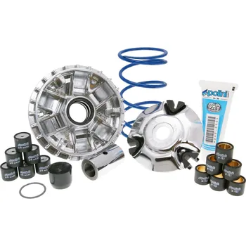 Motor pro motocykl Polini Variátor Maxi Hi-Speed Piaggio 125-150 P.34793