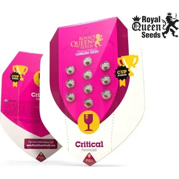 Semeno VÝPRODEJ Critical – feminizovaná semena | Royal Queen Seeds Počet semen: 10 + 10 Zdarma
