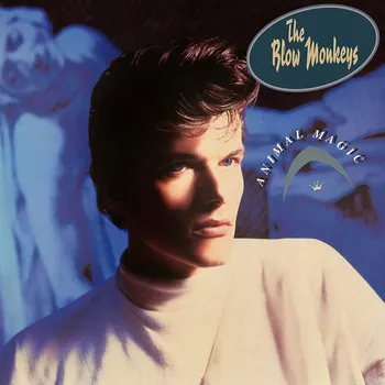 Zahraniční hudba Blow Monkeys: Animal Magic - 4CD