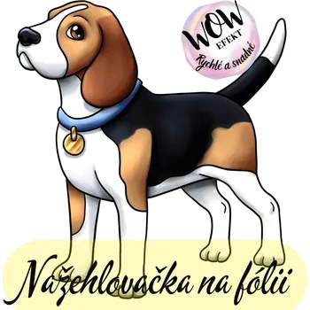 Nášivka Nažehlovačky na fólii Nažehlovačka na fólii, BÍGL, 8,6 x 7,9 cm /ks