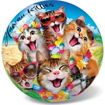 MÍČ 23 cm - KOČIČKY HAWAI