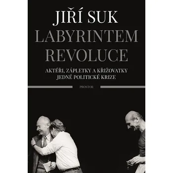 Kniha Labyrintem revoluce - Jiří Suk (E-Kniha)