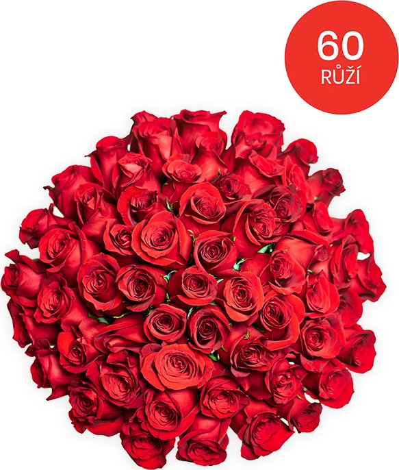Rozvoz květin - 60 RŮŽÍ 70cm