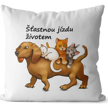 Dekorativní polštářek Polštář Šťastnou jízdu – pes (Velikost: 40 x 40 cm)