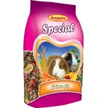 Avicentra Special morče