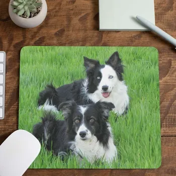 Podložka pod myš Podložka pod myš Border kolie dvě