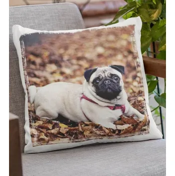 Polštář Polštář Pes 5 - 40 x 38 cm