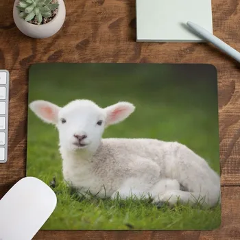 Podložka pod myš Podložka pod myš Ovečka