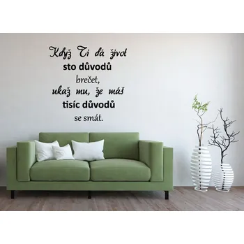 Samolepící dekorace Samolepky na zeď - Nápis - Život - důvody - M (60 x 58 cm)