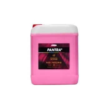 Mycí prostředek PANTRA PROFESIONAL 11 5l RED FEELING