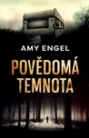 Povědomá temnota - Amy Engel (2020,…