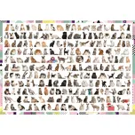 Trefl 208 koček 1000 dílků