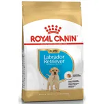 Royal Canin Labrador Puppy