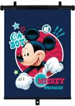 Compass pr59310 Mickey Mouse