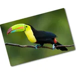 Kuchyňská deska skleněná Tukan