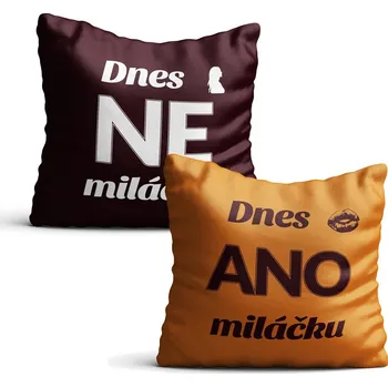 Povlak na dekorativní polštářek Froster Sex povlak na polštář ANO/NE 37 x 37 cm