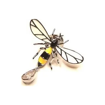 Brož Brož vosa pestřenka